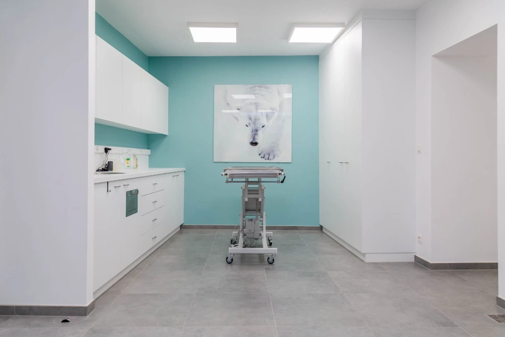 Salle de soins avec table de consultation et meubles blancs — Centre vétérinaire Optimavet