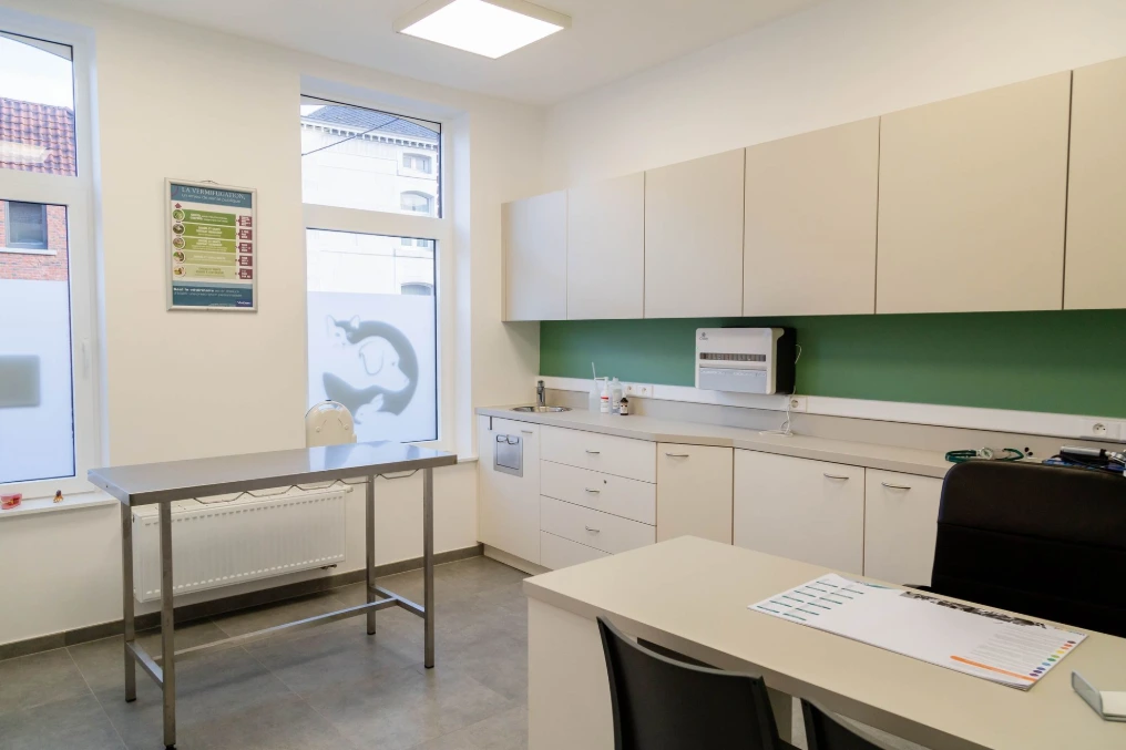 Cabinet de consultation avec table d'examen inox et rangements — Centre vétérinaire Optimavet